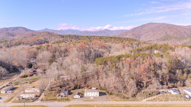 view of mountain feature