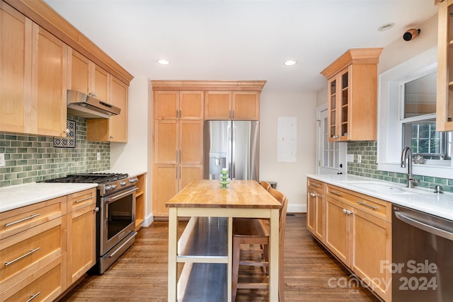 kitchen featuring decorative backsplash, wood-type flooring, stainless steel appliances, and sink