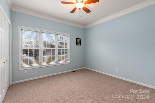 spare room featuring carpet flooring, crown molding, and ceiling fan