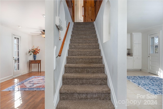 staircase with hardwood / wood-style flooring, ceiling fan, and crown molding