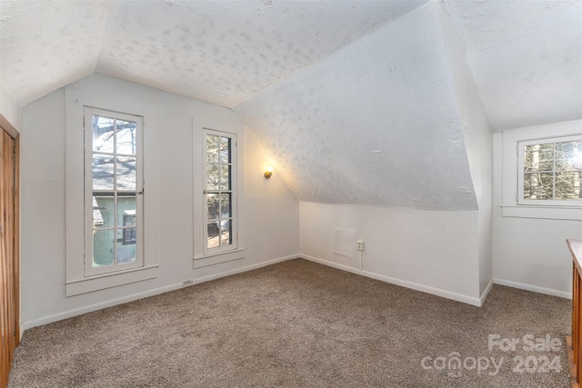 103 Pine St, Black Mountain, NC 28711 - bonus room featuring vaulted ceiling, carpet flooring, plenty of natural light, and a textured ceiling