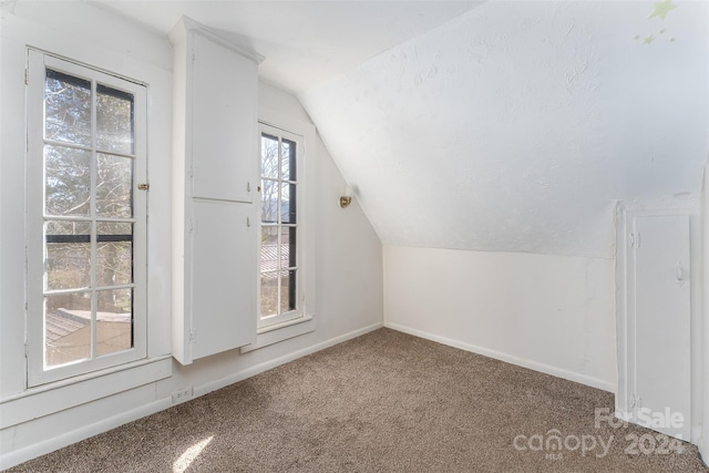 bonus room with carpet and vaulted ceiling