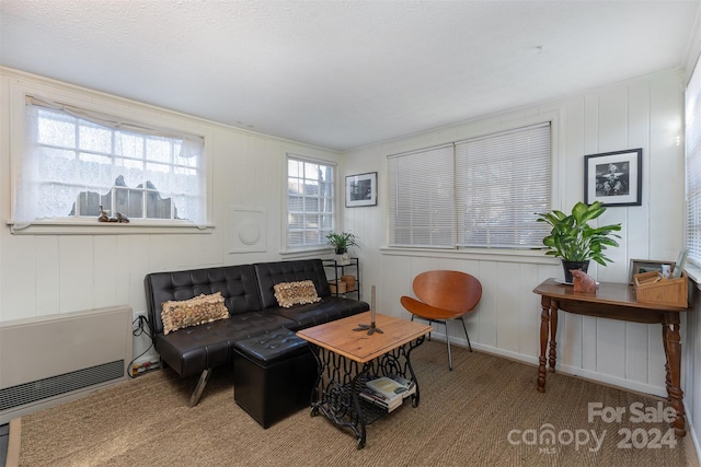 carpeted living room with a healthy amount of sunlight