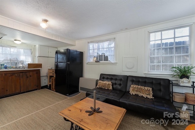 living room featuring sink, carpet floors, a healthy amount of sunlight, and a textured ceiling