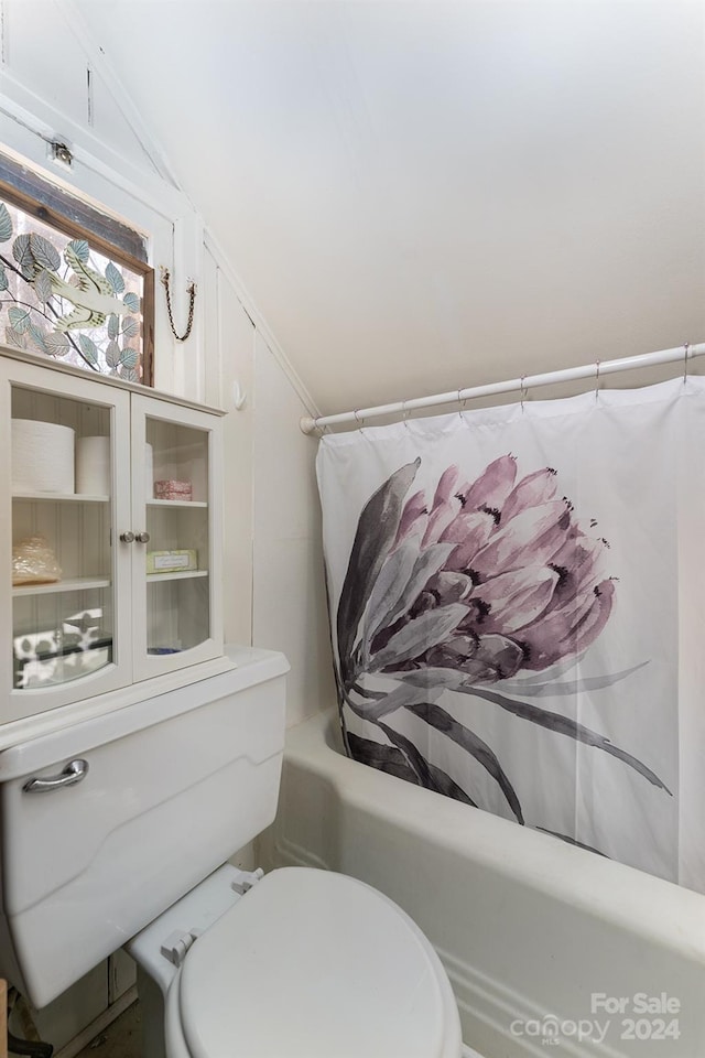 bathroom with toilet and lofted ceiling