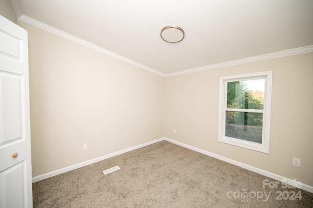 carpeted empty room with crown molding