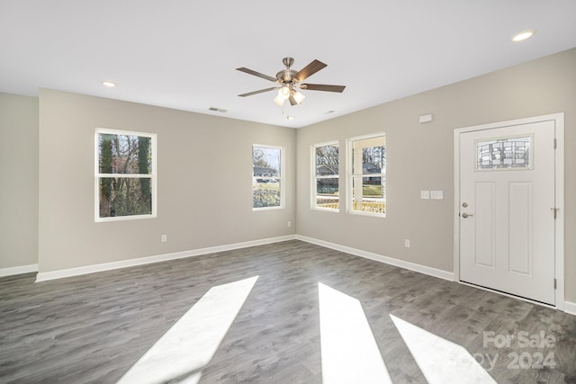 foyer featuring a wealth of natural light, ceiling fan, and dark hardwood / wood-style floors