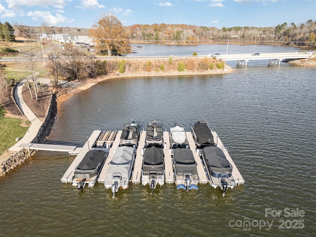 view of dock with a water view