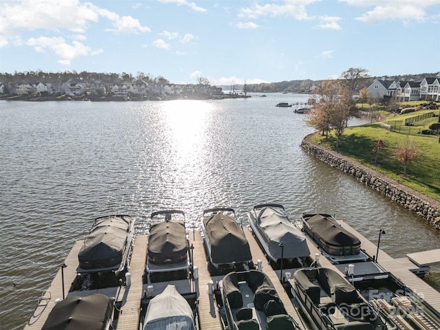 dock area with a water view