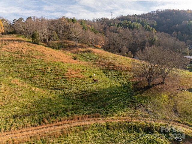 view of landscape with a rural view