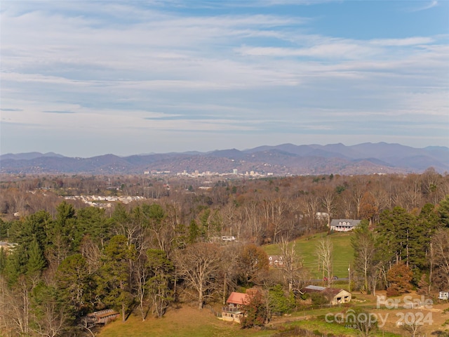 view of mountain feature