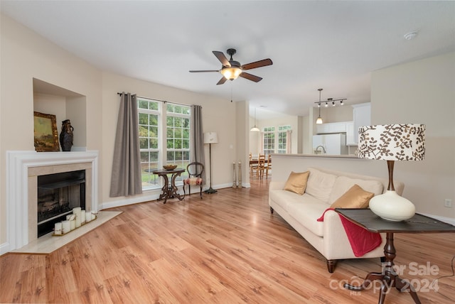 living room featuring ceiling fan and light wood-type flooring