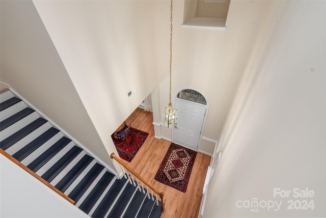 foyer with wood-type flooring