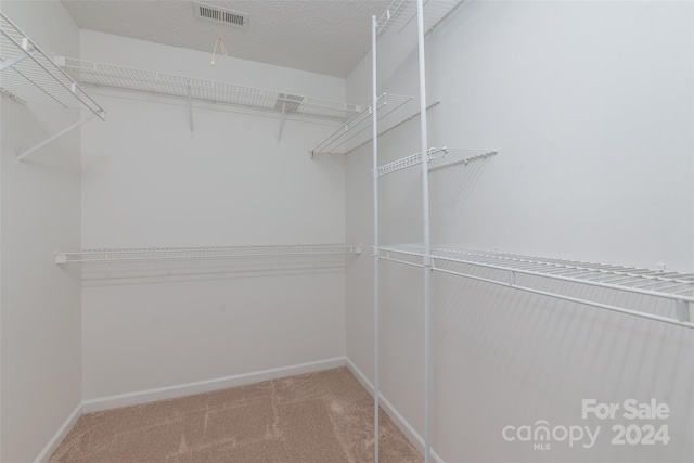 walk in closet with carpet