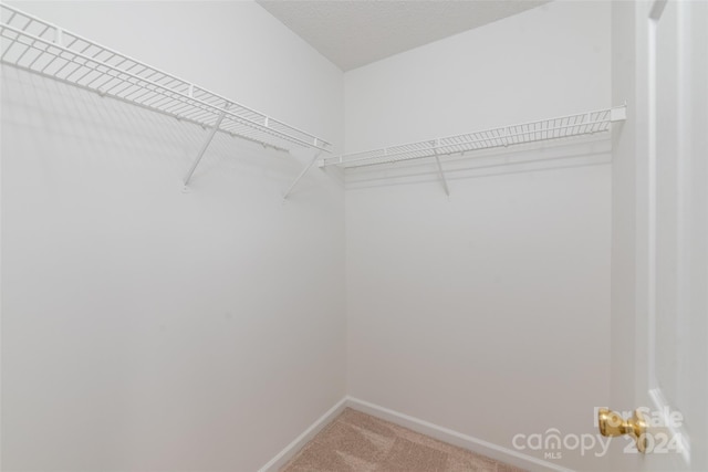 spacious closet featuring carpet