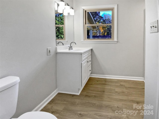 bathroom with hardwood / wood-style floors, vanity, and toilet