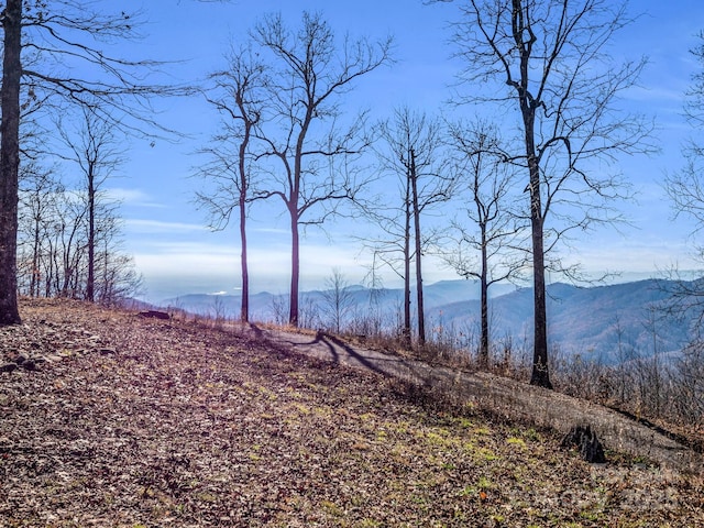 property view of water with a mountain view