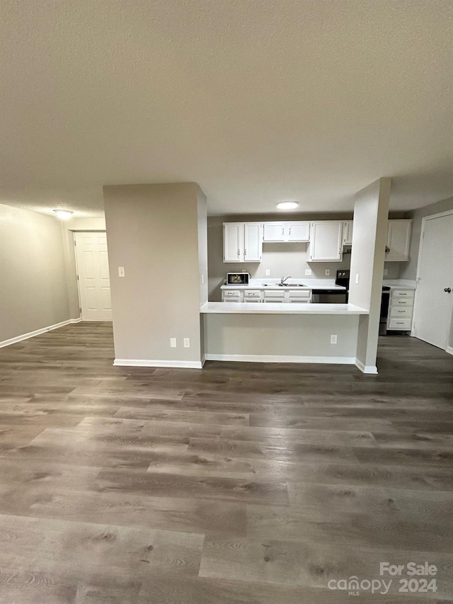 unfurnished living room featuring a textured ceiling, dark wood-type flooring, and sink