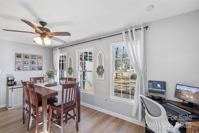 dining space featuring ceiling fan and light hardwood / wood-style flooring