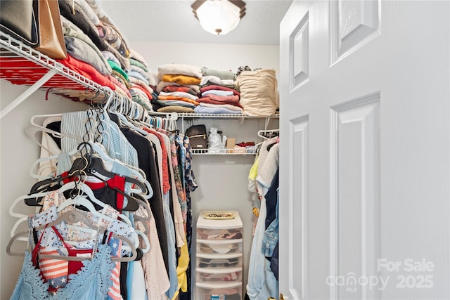 view of spacious closet