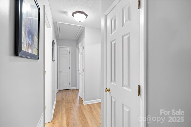 hallway with a textured ceiling and light hardwood / wood-style floors