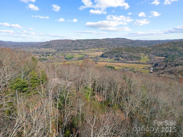 property view of mountains