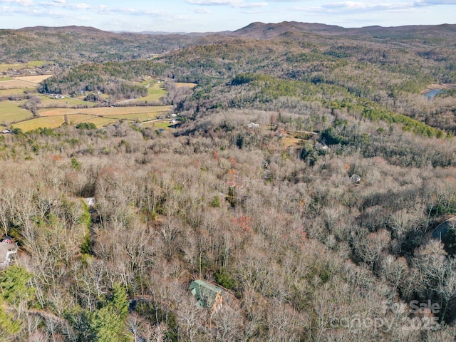 property view of mountains