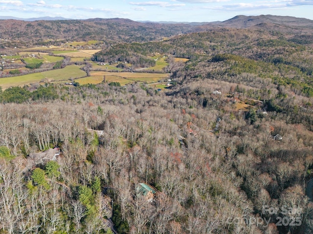 property view of mountains