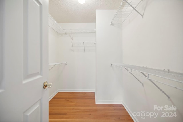 spacious closet featuring wood-type flooring