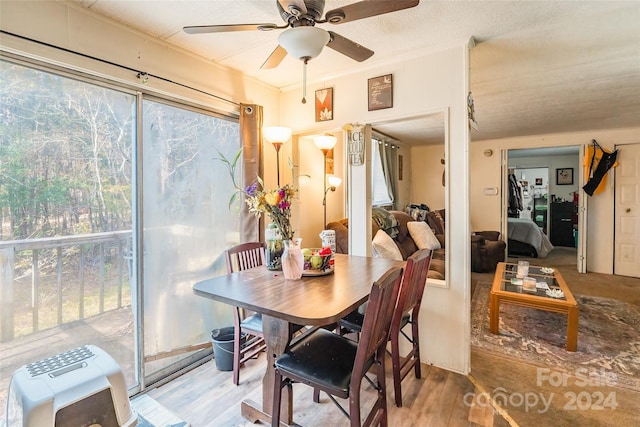 interior space featuring heating unit and ceiling fan