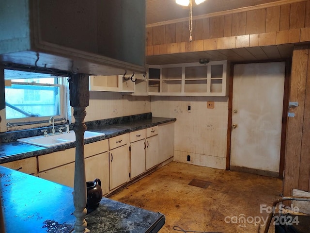 kitchen with sink and wooden walls