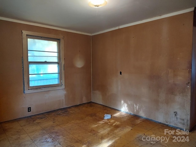 spare room with ornamental molding