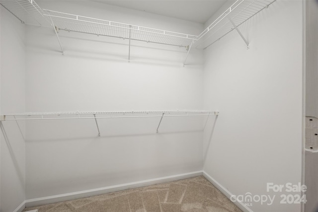 spacious closet with carpet flooring