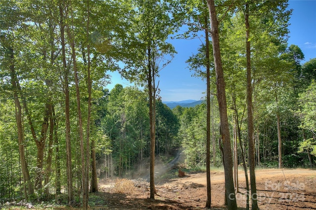 00 Pebble Ridge Rd, Spruce Pine NC, 28777 land for sale