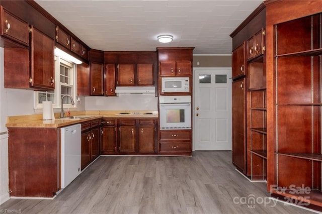 kitchen with crown molding, sink, white appliances, and light wood-type flooring