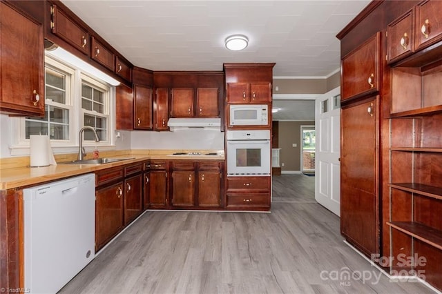 kitchen with light wood-type flooring, white appliances, sink, and ornamental molding