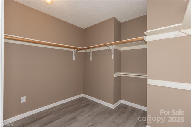 walk in closet with light hardwood / wood-style flooring