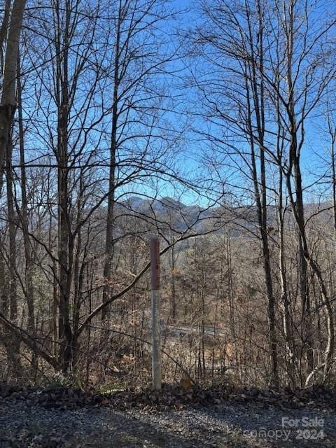 Listing photo 2 for 00 Satinwood Dr Unit 19, Waynesville NC 28785