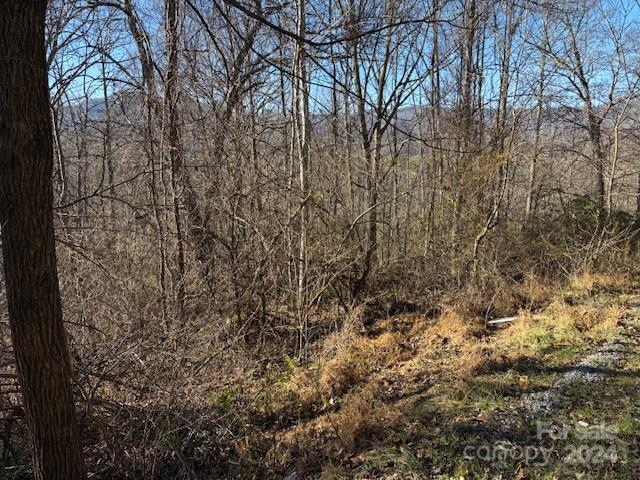 Listing photo 3 for 00 Satinwood Dr Unit 19, Waynesville NC 28785