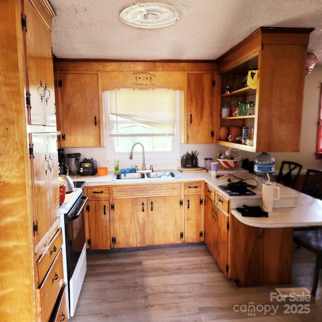 kitchen featuring electric stove, sink, light hardwood / wood-style flooring, and a textured ceiling