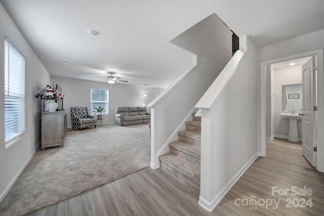 stairs featuring ceiling fan and wood-type flooring