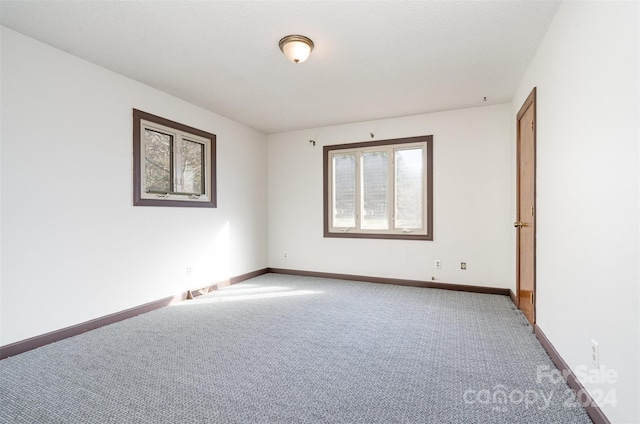 empty room featuring carpet and plenty of natural light