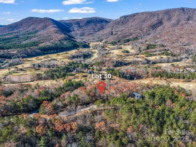 LOT30 Deep Gap Farm Rd E, Mill Spring, NC 28756 - photo 3