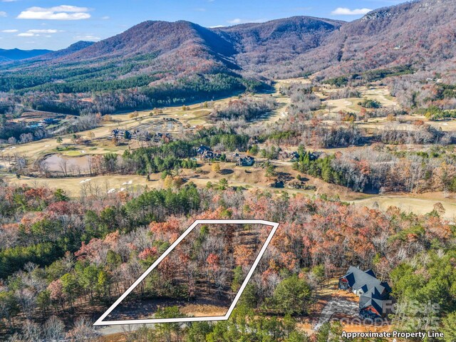 LOT30 Deep Gap Farm Rd E, Mill Spring, NC 28756 - photo 4