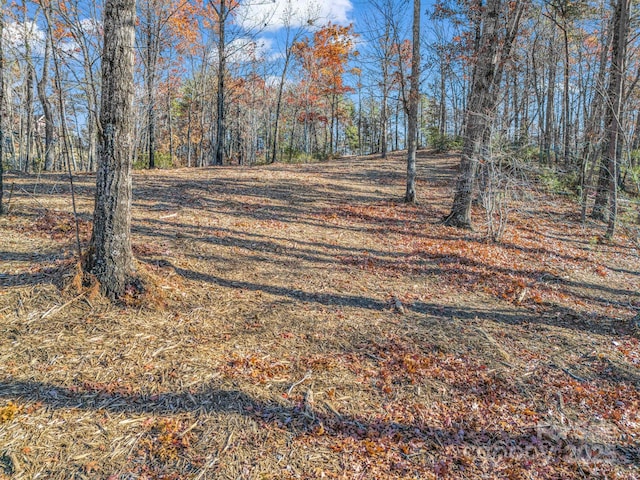 LOT30 Deep Gap Farm Rd E, Mill Spring, NC 28756 - photo 8