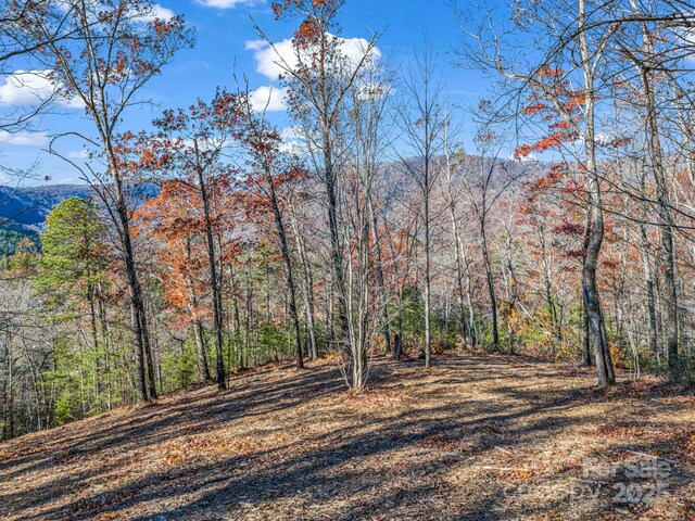 LOT30 Deep Gap Farm Rd E, Mill Spring, NC 28756 - photo 9