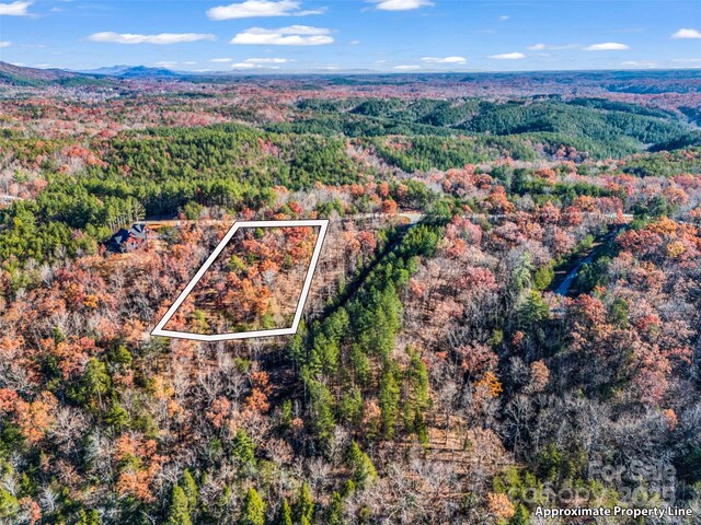 LOT30 Deep Gap Farm Rd E, Mill Spring, NC 28756 - photo 10