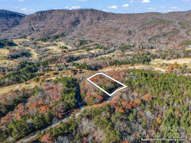LOT30 Deep Gap Farm Rd E, Mill Spring, NC 28756 - photo 11