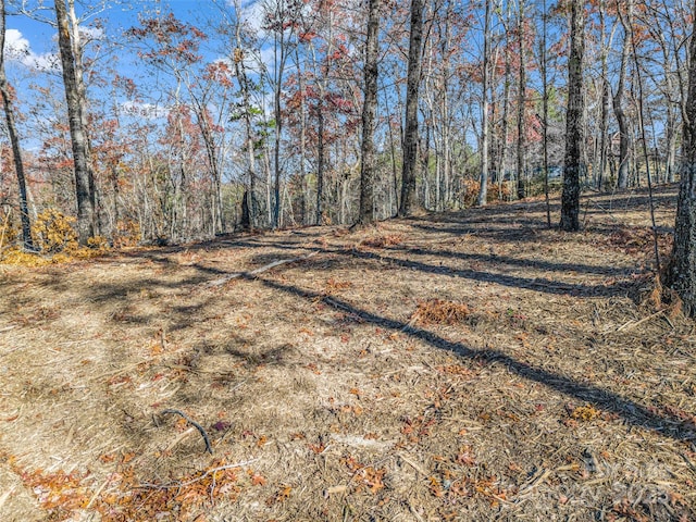LOT30 Deep Gap Farm Rd E, Mill Spring, NC 28756 - photo 12