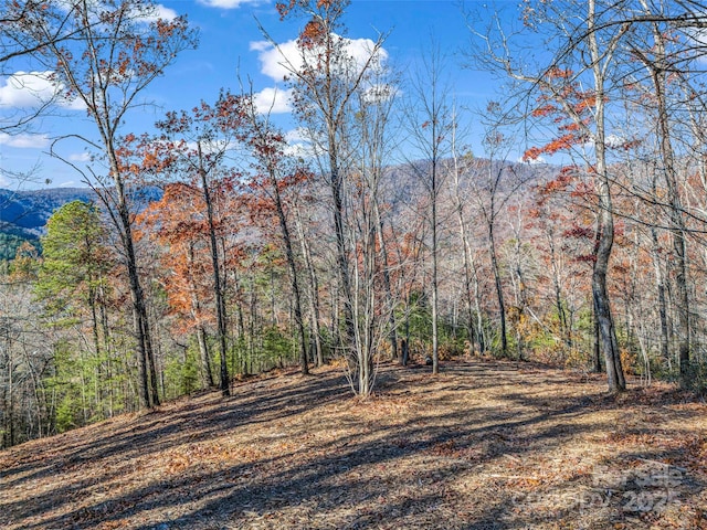 LOT30 Deep Gap Farm Rd E, Mill Spring, NC 28756 - photo 14